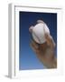 Hand Holding Baseball-null-Framed Photographic Print