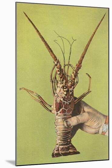 Hand Holding Lobster-null-Mounted Art Print