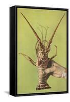 Hand Holding Lobster-null-Framed Stretched Canvas