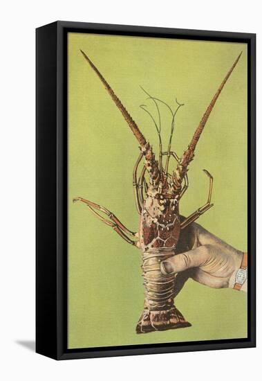 Hand Holding Lobster-null-Framed Stretched Canvas