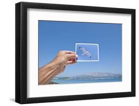 Hand Holding Photograph Depicting Seagull, Lumbarda, Korcula Island, Croatia-Guido Cozzi-Framed Photographic Print