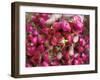 Hand Holding Small Rose Heads, Delhi, India-Peter Adams-Framed Photographic Print