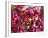 Hand Holding Small Rose Heads, Delhi, India-Peter Adams-Framed Photographic Print