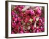 Hand Holding Small Rose Heads, Delhi, India-Peter Adams-Framed Photographic Print