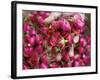 Hand Holding Small Rose Heads, Delhi, India-Peter Adams-Framed Photographic Print