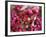 Hand Holding Small Rose Heads, Delhi, India-Peter Adams-Framed Photographic Print