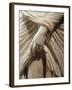 Hand Holding Up Robe, Detail of Marble Statue of Cornelia Antonia from Antioch, Turkey-null-Framed Giclee Print