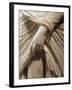 Hand Holding Up Robe, Detail of Marble Statue of Cornelia Antonia from Antioch, Turkey-null-Framed Giclee Print