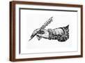 Brown Frame