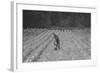 Hand Irrigation on Small Rented Subsistence Farm.-Dorothea Lange-Framed Art Print