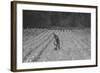 Hand Irrigation on Small Rented Subsistence Farm.-Dorothea Lange-Framed Art Print