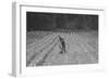 Hand Irrigation on Small Rented Subsistence Farm.-Dorothea Lange-Framed Art Print