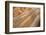 Hand Made Bricks Laid Out on the Ground to Dry before Baking, Northeast of Jaipur, Rajasthan, India-Annie Owen-Framed Photographic Print