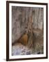 Hand made brooms at Shwe Yan Pyay Monastery, Nyaung Shwe near Inle Lake, Shan State, Myanmar-null-Framed Photographic Print