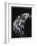 Hand of a Woman in Her Eighties, 2007-Stephen Finer-Framed Giclee Print