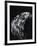 Hand of a Woman in Her Eighties, 2007-Stephen Finer-Framed Giclee Print