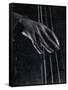 Hand of Bass Player on the Strings During Jam Session at Photographer Gjon Mili's Studio-Gjon Mili-Framed Stretched Canvas