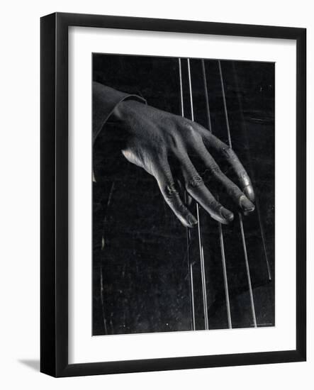 Hand of Bass Player on the Strings During Jam Session at Photographer Gjon Mili's Studio-Gjon Mili-Framed Photographic Print