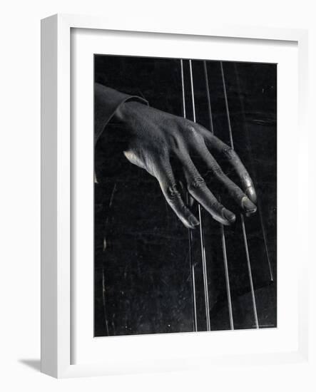 Hand of Bass Player on the Strings During Jam Session at Photographer Gjon Mili's Studio-Gjon Mili-Framed Photographic Print