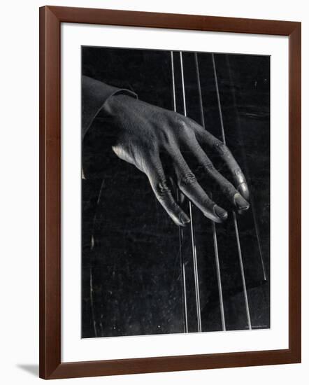 Hand of Bass Player on the Strings During Jam Session at Photographer Gjon Mili's Studio-Gjon Mili-Framed Photographic Print