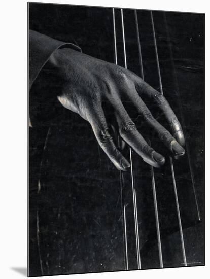 Hand of Bass Player on the Strings During Jam Session at Photographer Gjon Mili's Studio-Gjon Mili-Mounted Photographic Print