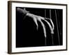 Hand of Bassist Red Callender During Filming of Jammin' the Blues-Gjon Mili-Framed Premium Photographic Print