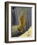 Hand of Michelozzo Di Bartolommeo, 1396-1472 Italian Sculptor and Architect-Fra Angelico-Framed Giclee Print