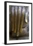 Hand of the Phra Achana Buddha Figure-Alex Robinson-Framed Photographic Print