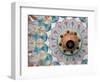 Hand-Painted Oxcart Wheel, Costa Rica-Darrell Gulin-Framed Photographic Print