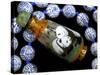 Hand Painted Panda Snuff Bottle, Chinese Bead Necklace, China-Cindy Miller Hopkins-Stretched Canvas