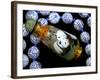Hand Painted Panda Snuff Bottle, Chinese Bead Necklace, China-Cindy Miller Hopkins-Framed Photographic Print