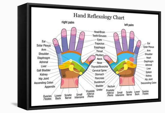 Hand Reflexology Chart Description-Peter Hermes Furian-Framed Stretched Canvas