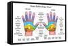 Hand Reflexology Chart Description-Peter Hermes Furian-Framed Stretched Canvas