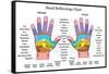 Hand Reflexology Chart Description-Peter Hermes Furian-Framed Stretched Canvas