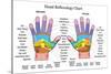 Hand Reflexology Chart Description-Peter Hermes Furian-Stretched Canvas