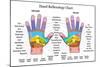 Hand Reflexology Chart Description-Peter Hermes Furian-Mounted Art Print