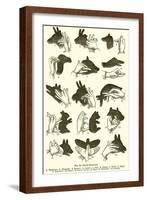 Hand Shadows-null-Framed Giclee Print