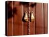 Hand shaped handles in brown door, Spain-Panoramic Images-Stretched Canvas