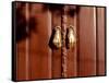 Hand shaped handles in brown door, Spain-Panoramic Images-Framed Stretched Canvas
