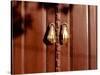 Hand shaped handles in brown door, Spain-Panoramic Images-Stretched Canvas