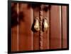 Hand shaped handles in brown door, Spain-Panoramic Images-Framed Photographic Print