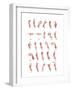 Hand Sign Language Alphabet-null-Framed Art Print