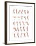 Hand Sign Language Alphabet-null-Framed Art Print