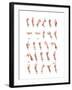 Hand Sign Language Alphabet-null-Framed Art Print