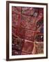 Hand-Stitched Textiles, San Blas Islands, Panama-Cindy Miller Hopkins-Framed Photographic Print