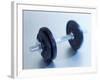 Hand Weight-null-Framed Photographic Print