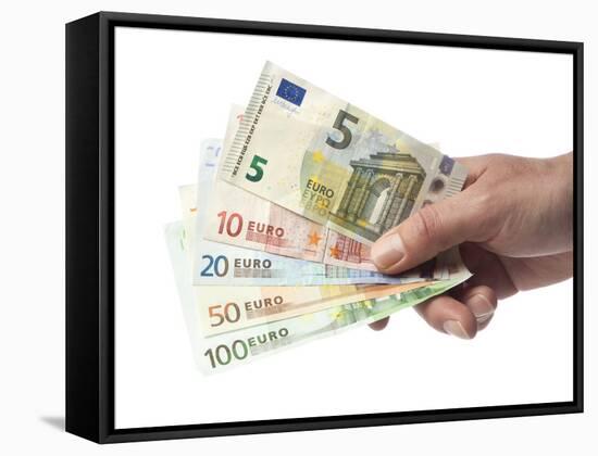 Hand with Euro Bills from 5 to 100-foodbytes-Framed Stretched Canvas