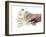 Hand with Euro Bills from 5 to 100-foodbytes-Framed Photographic Print