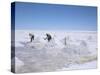 Hand-Working in Colchani Salt Pans, Salar De Uyuni, Salt Flat, Southwest Highlands, Bolivia-Tony Waltham-Stretched Canvas