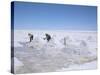 Hand-Working in Colchani Salt Pans, Salar De Uyuni, Salt Flat, Southwest Highlands, Bolivia-Tony Waltham-Stretched Canvas